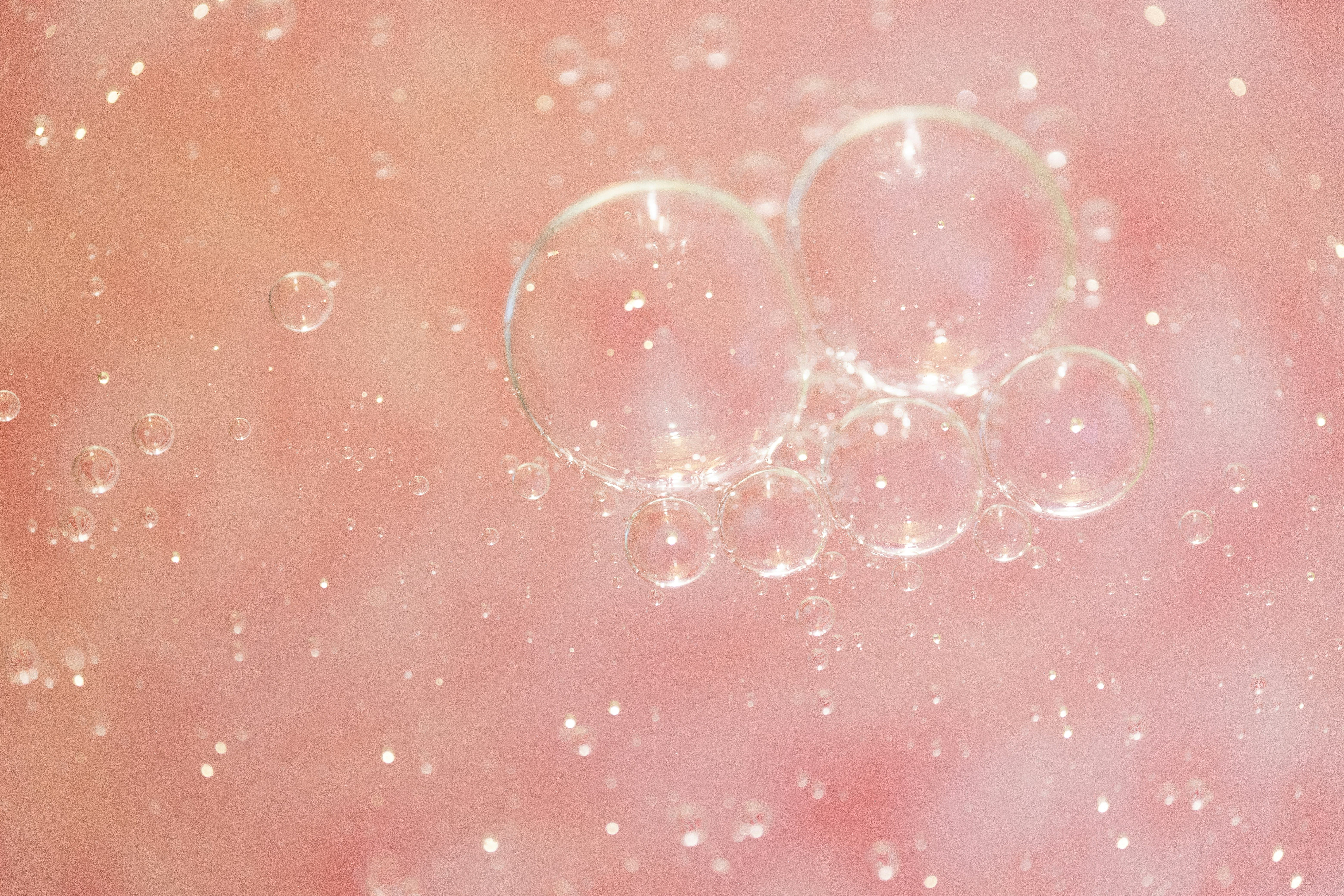 unsplash_jbHZ6S8AcaA